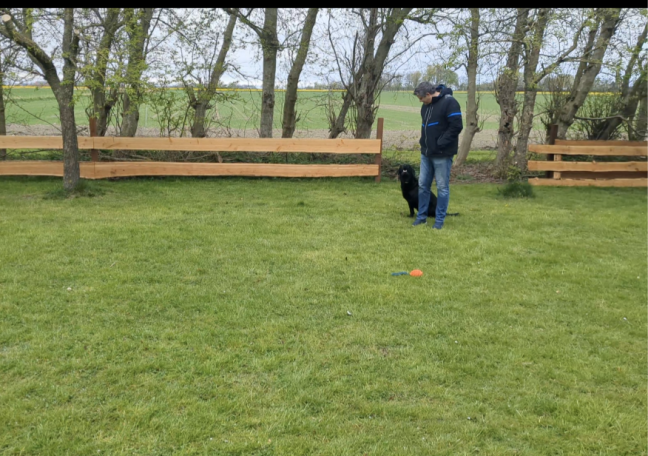 eingezäunter Gartenbereich